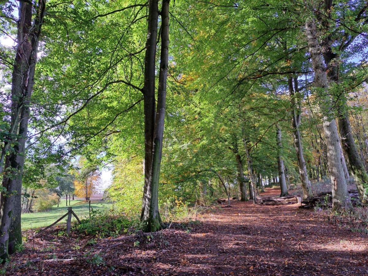 Steewer Landhaus Gemuetliche Ferienwohnung Bis 6 Pers In Ruhiger Ortsrandlage Stebach Exteriör bild